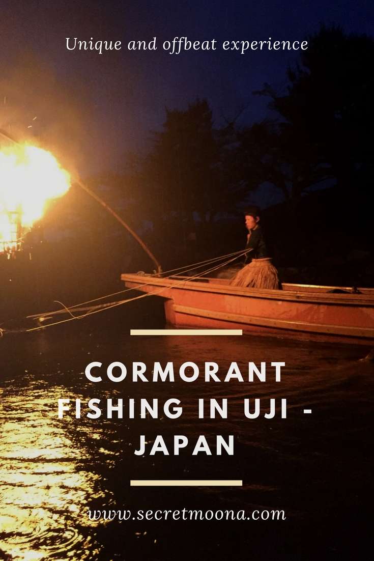 Cormorant fishing in Uji - Japan 