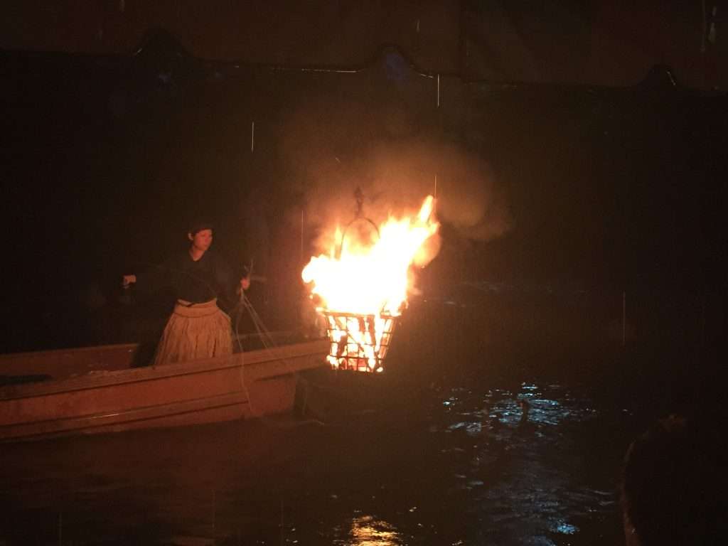 Cormorant fishing - flame