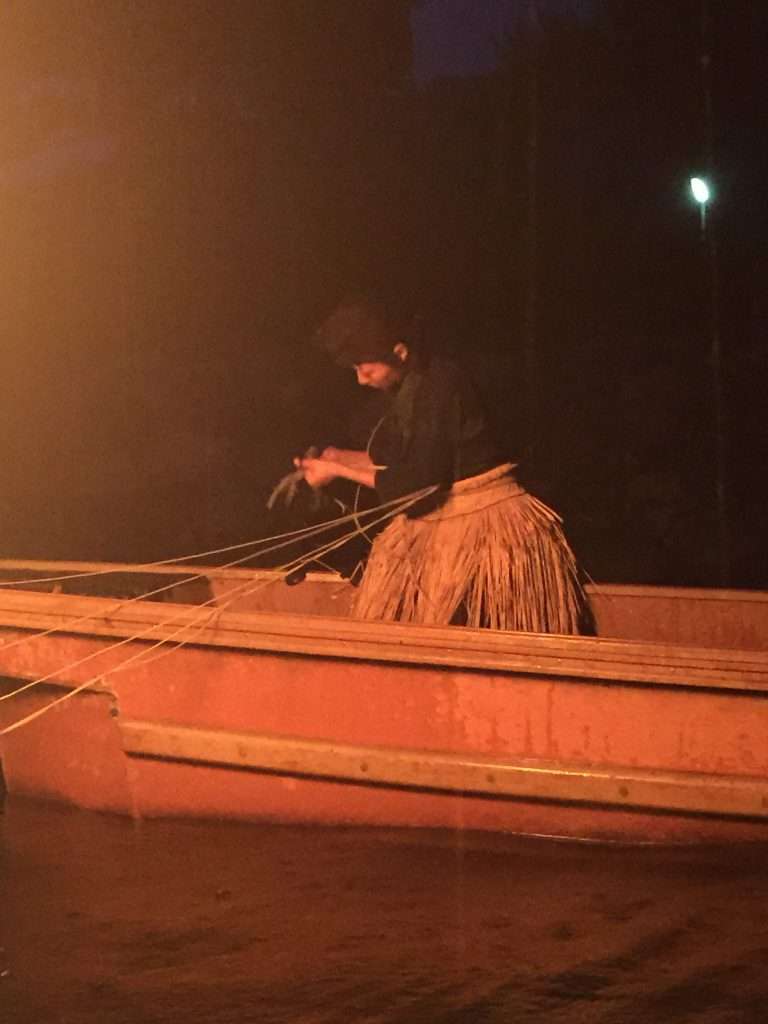 Cormorant fishing in Uji