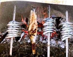 Grilled sardines