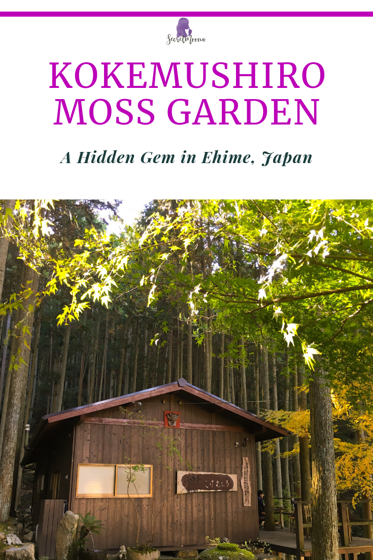 Looking for secret treasures? Kokemushiro Moss Garden Cafe, a hidden gem in the heart of Ehime Prefecture - Japan.
