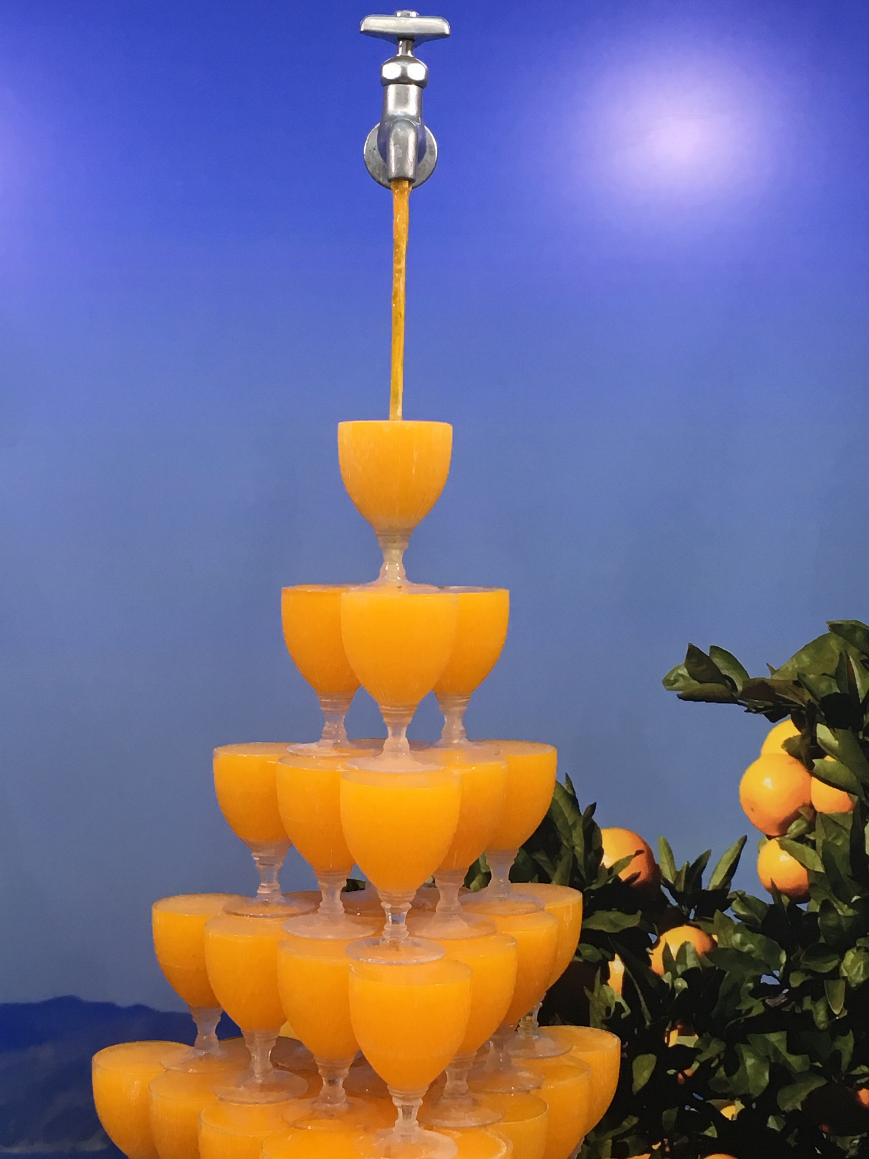 Mikan juice on tap - things to do and see in Ehime Prefecture