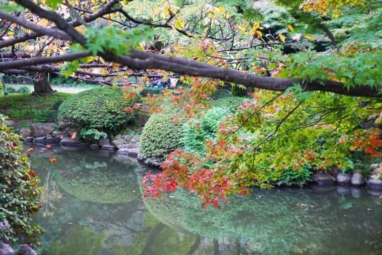 13 reasons to visit Japan in autumn - beautiful autumn colours