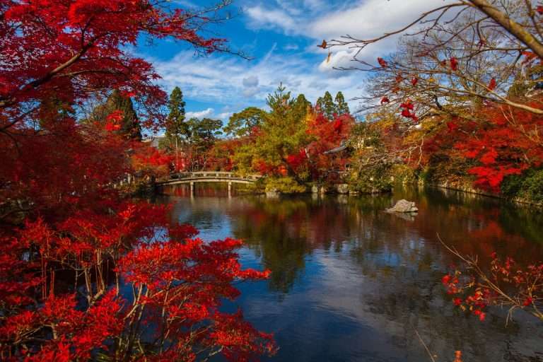 Discover the most beautiful gardens in Tokyo to visit this autumn. Explore the dazzling displays of colour in stunning gardens and parks. #Tokyo #garden #parks #Japan