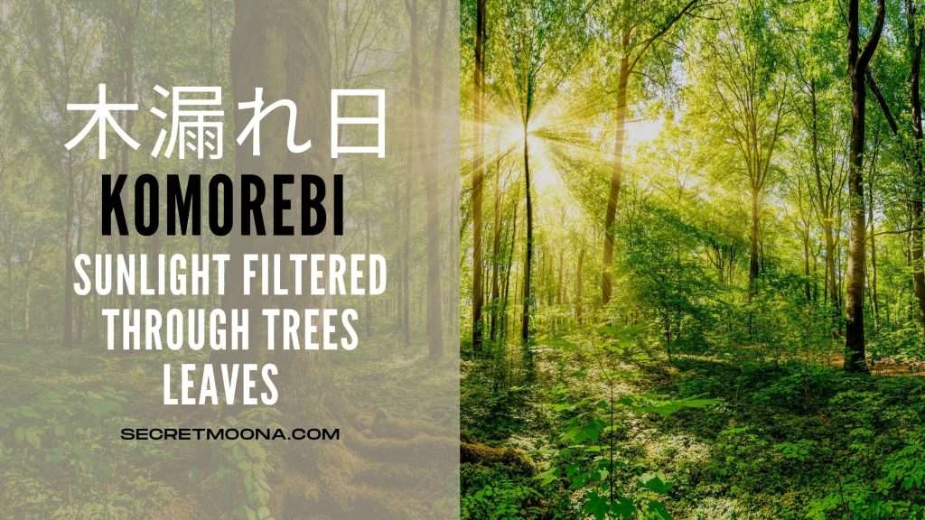 Komorebi (木漏れ日), sunlight filtering through the leaves of a green forest and falling in rays onto the ground