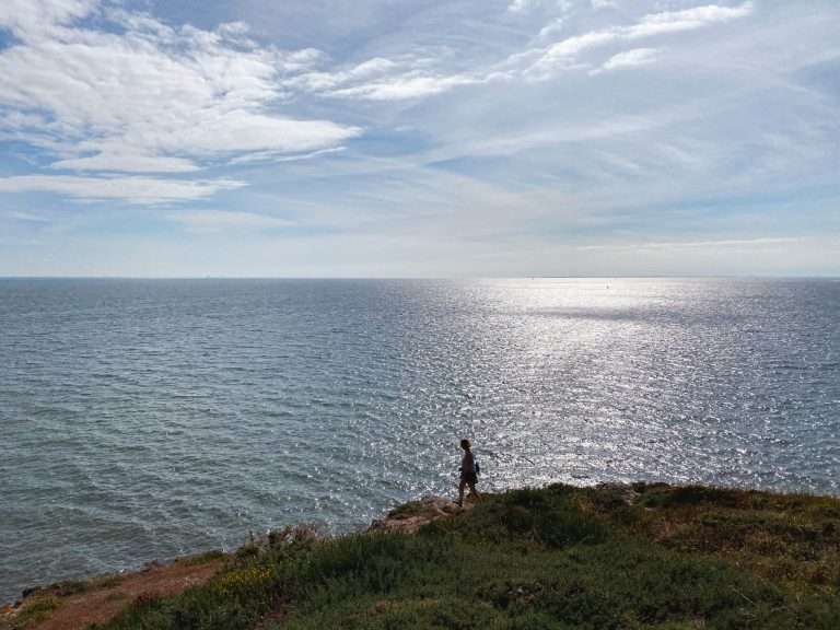 Beautiful coast of the Golfe fu Morbihan