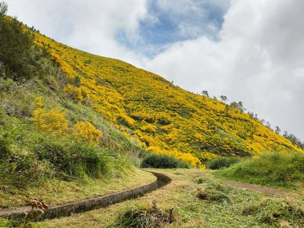Rabaçal - Levada walk - Things to do in Madeira