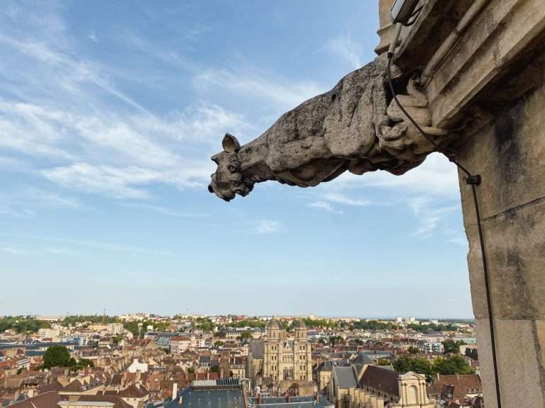 Gargoyle looking over Dijon, Burgundy - France