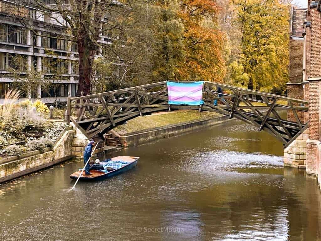 Things to do and see in Cambridge - Go on a punting tour along River Cam