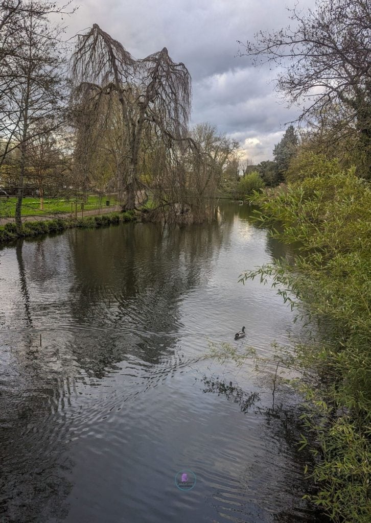 Discover The Best Things To Do In Metz, France 27 Metz Botanical garden