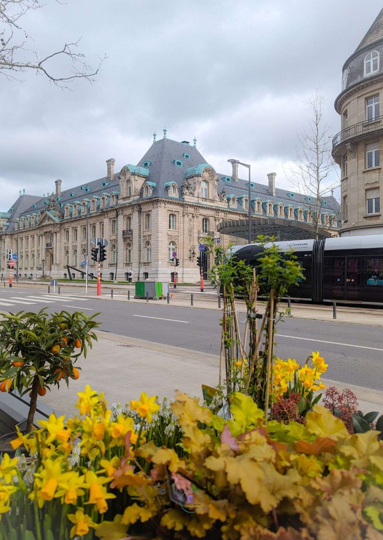 Street view of Luxembourg City