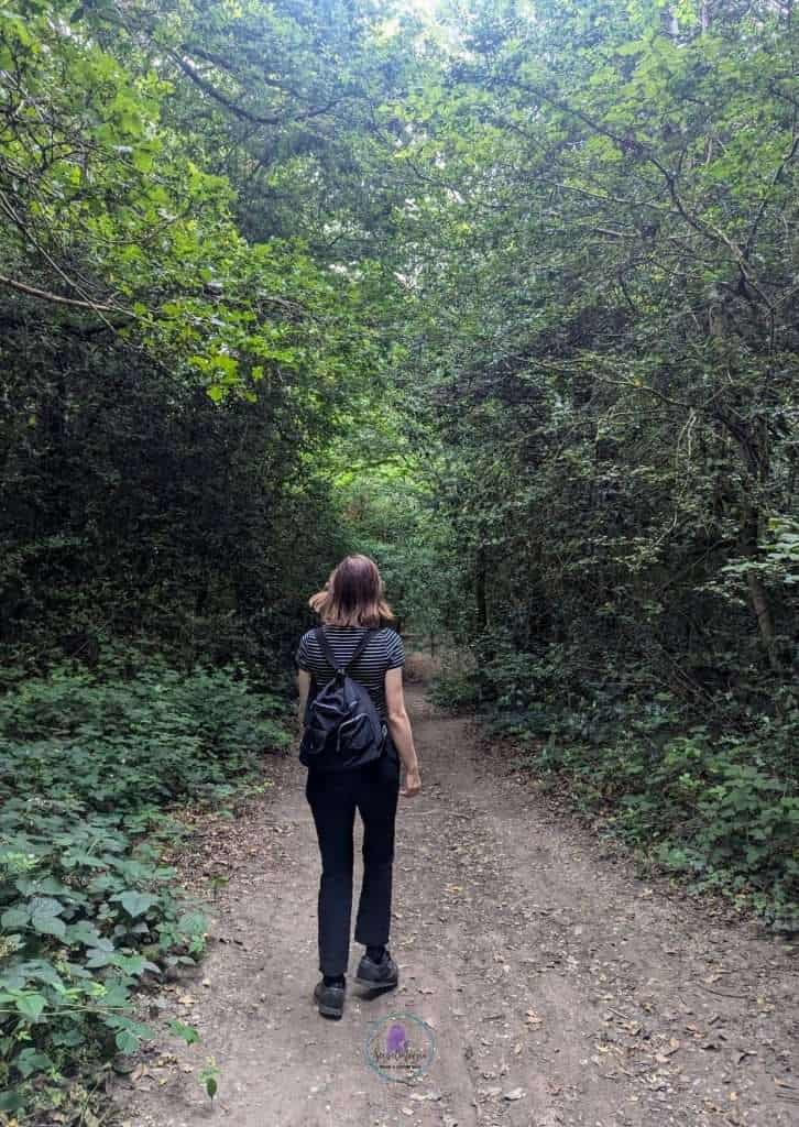 Epping Forest walks - Hornbeam trail