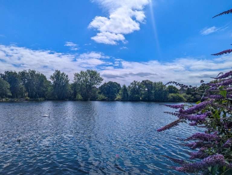 Epping Forest walks - Epping forest is home to many ponds