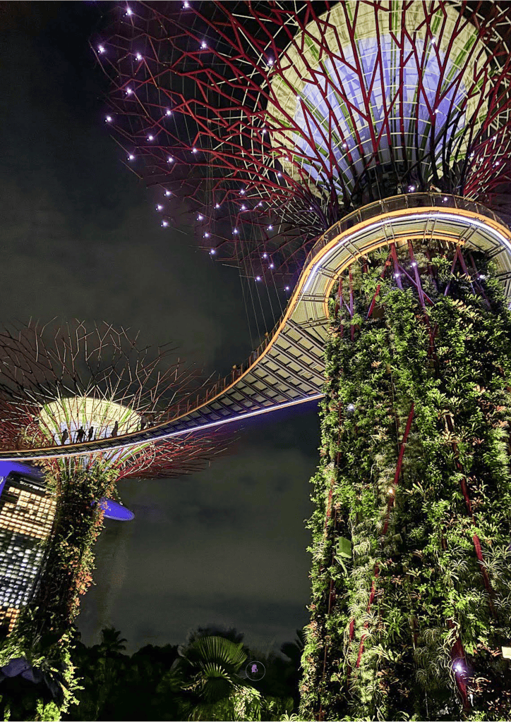 Night view of Supertree Grove in Singapore, featuring illuminated vertical gardens and an elevated walkway with cityscape in the background.
