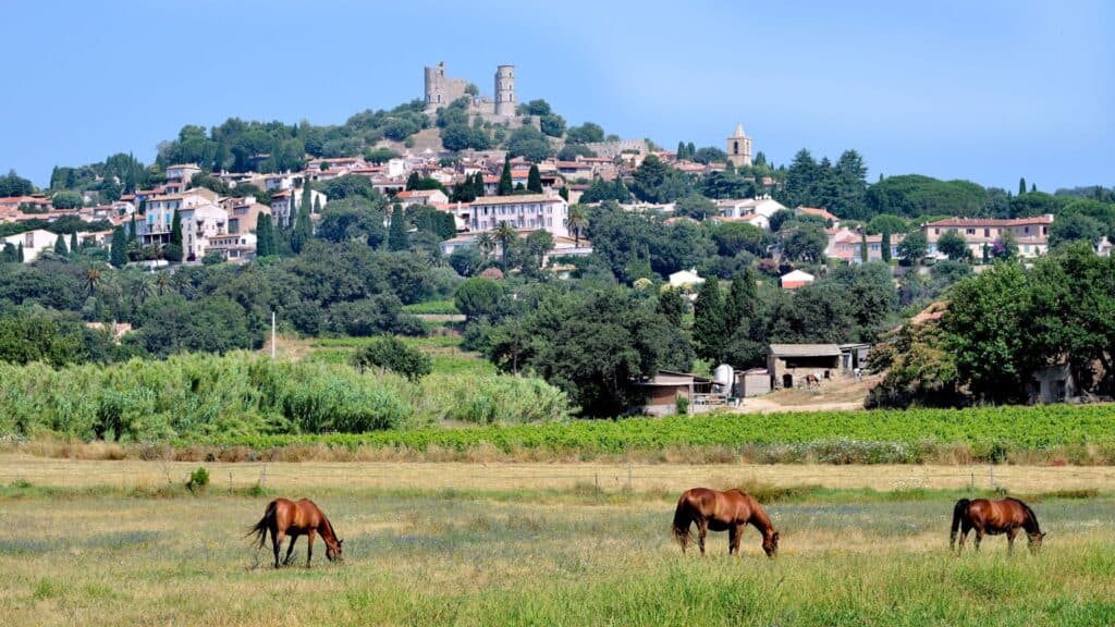 Port Grimaud: The Ultimate Guide to Provence's Little Venice 30 Grimaud Village seen from a field. Grimaud is a French commune located in the Var department, in the Provence-Alpes-Côte d'Azur region, in Europe