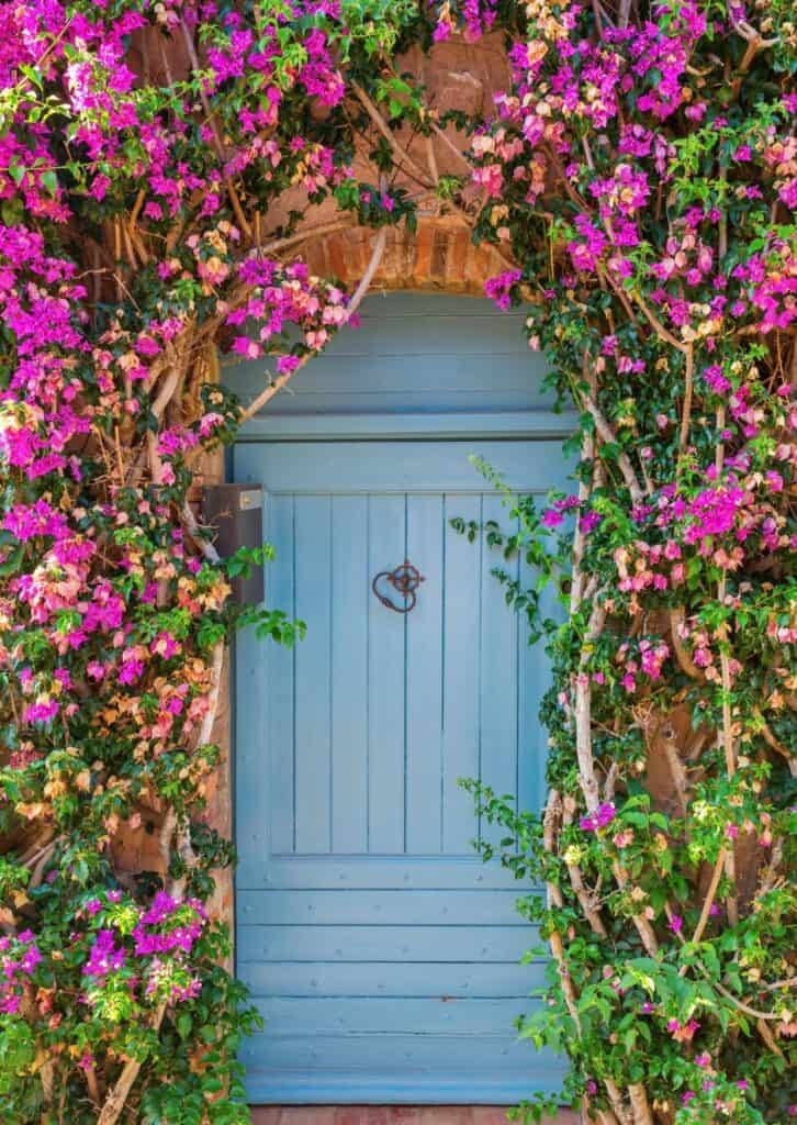 Port Grimaud: The Ultimate Guide to Provence's Little Venice 26 Picturesque door in Grimaud