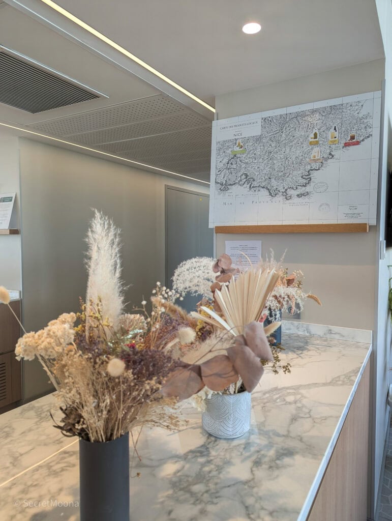 Where to Stay in Nice: OKKO Hotels Nice Aéroport, France 14 Flower decor at OKKO Hotels Nice Aéroport, France