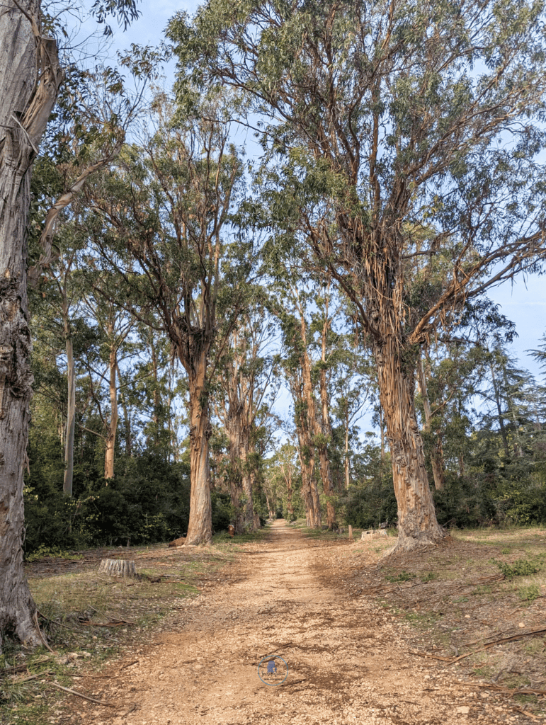 Hiking on Ile Sainte-Marguerite guide