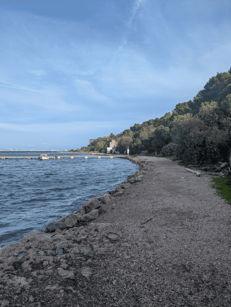 Things to do in Ile Sainte Marguerite guide - Enjoy the beach