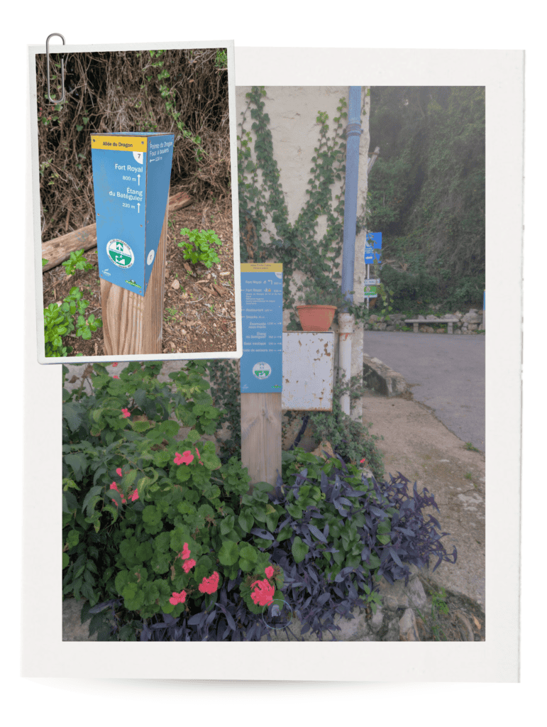 Things to do in Ile Sainte Marguerite guide - Hiking trails