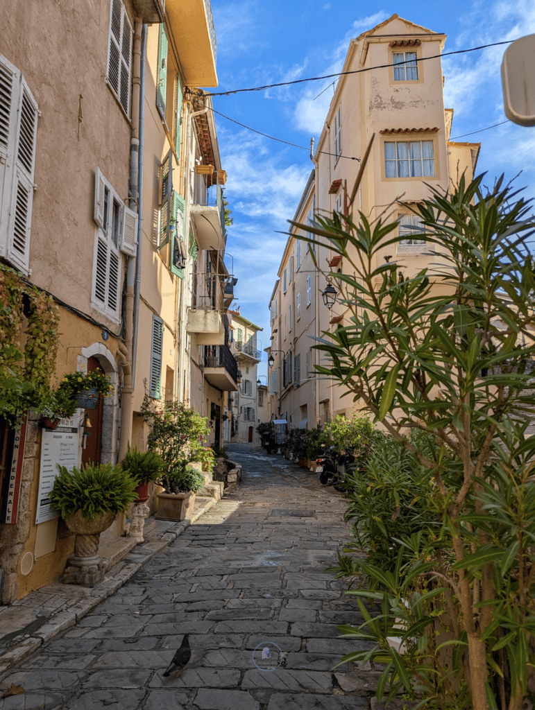 Street in Le Suquet