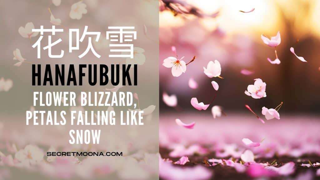 Hanafubuki (花吹雪), a flower blizzard, shown beside cherry petals falling through golden light onto petal-covered ground