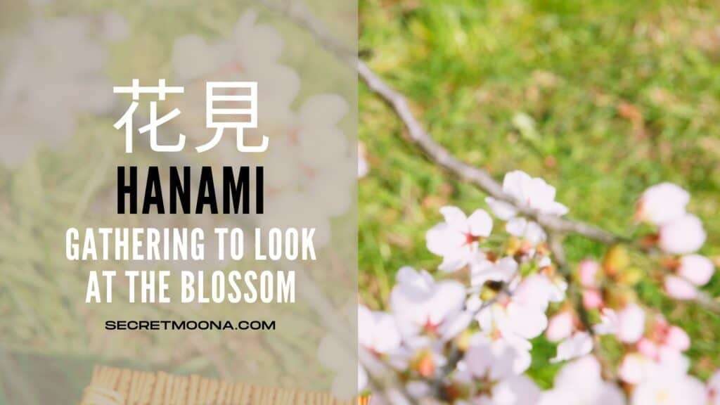 Hanami (花見), gathering to look at the blossom, shown beside white cherry blossom on a branch above a picnic mat on grass