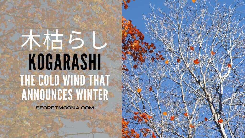 Kogarashi (木枯らし), the cold wind that announces winter, shown beside bare white branches and a few last orange leaves against a blue sky