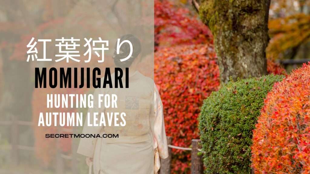 Momijigari (紅葉狩り), hunting for autumn leaves, shown beside a woman in a pale kimono walking a garden path between clipped shrubs and fallen red maple leaves