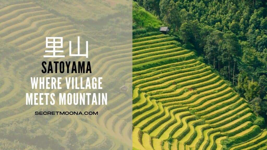 Satoyama (里山), where village meets mountain, shown beside terraced rice paddies curving down a green hillside to a hut and forest