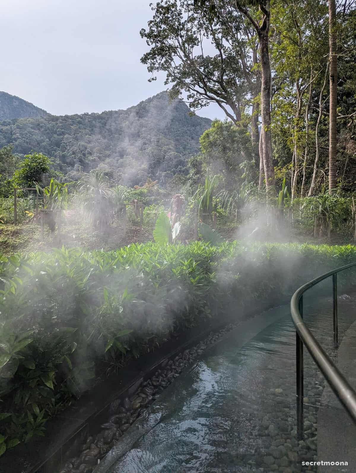 Steaming rock pools surrounded by rainforest in the gardens at Hilton Burau Bay Langkawi